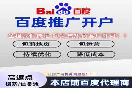 SEM推广策略：成功案例解析