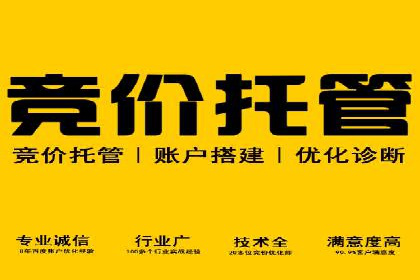 SEM竞价员实战案例分析：数据驱动决策